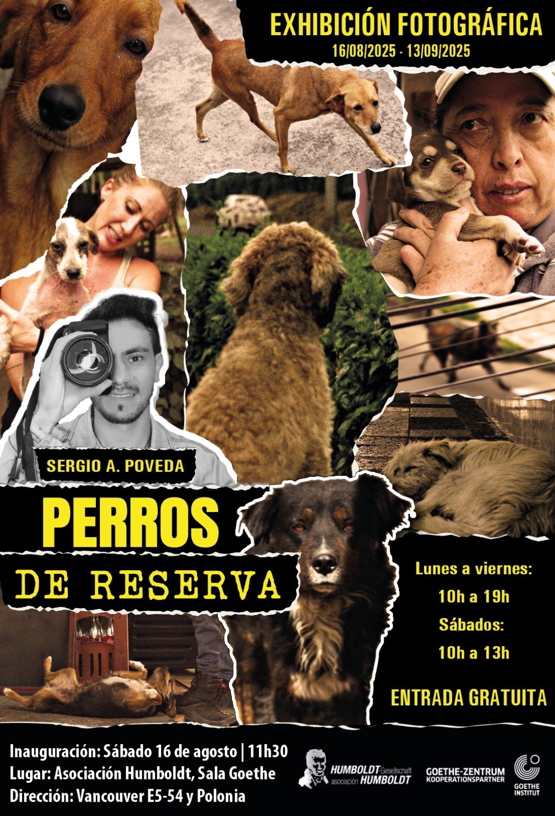 exposición-perros-de-reserva