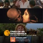 cine-club-gato-naranja