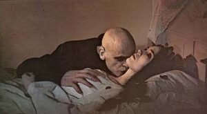 cine club gato naranja-2