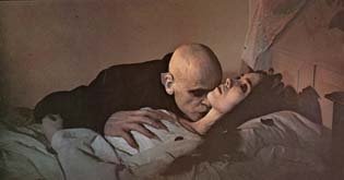 cine club gato naranja