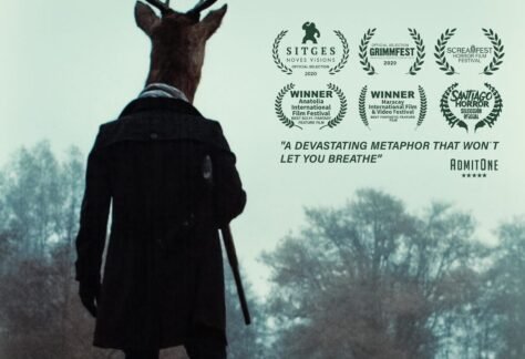 cine club gato naranja 3 anonymous animals