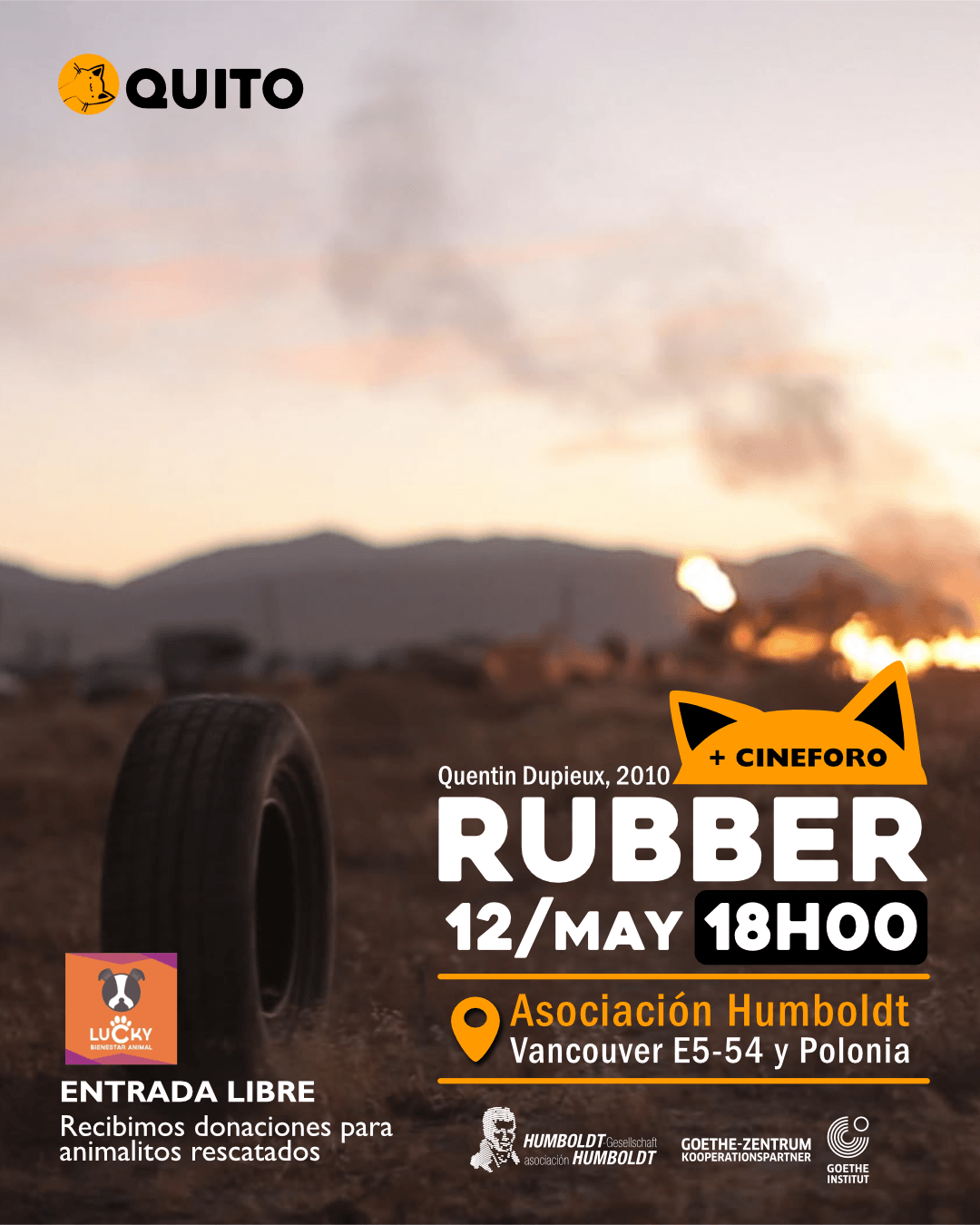 cine club gato naranja rubber