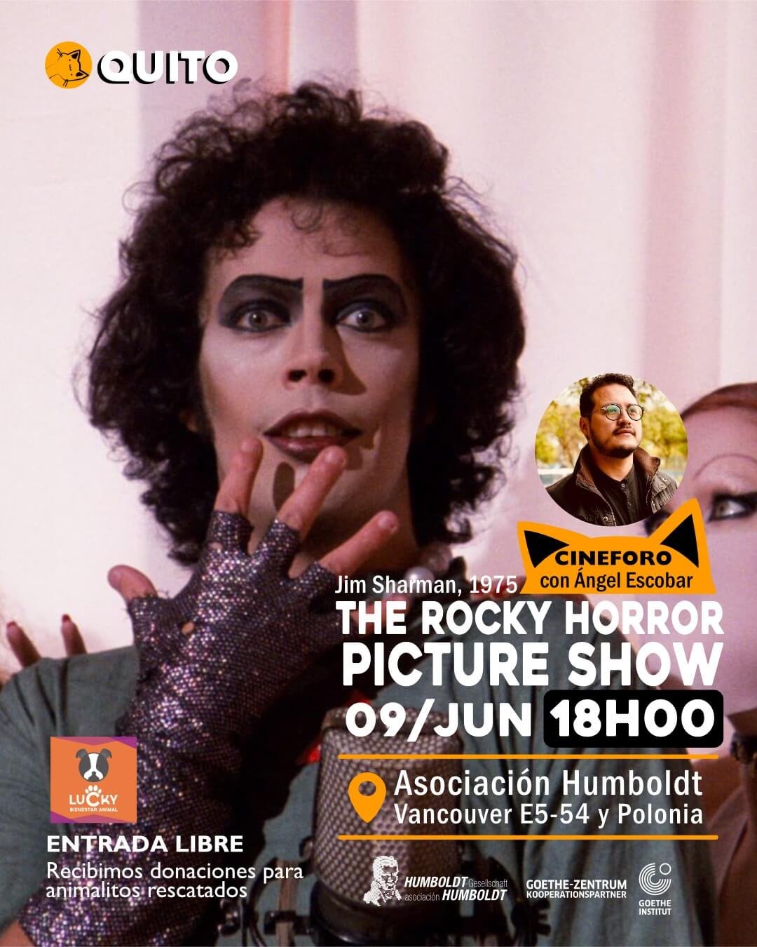 cine club gato naranja-5-the-rocky horror picture show