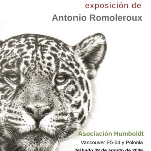 exposición la vida amándose a sí misma