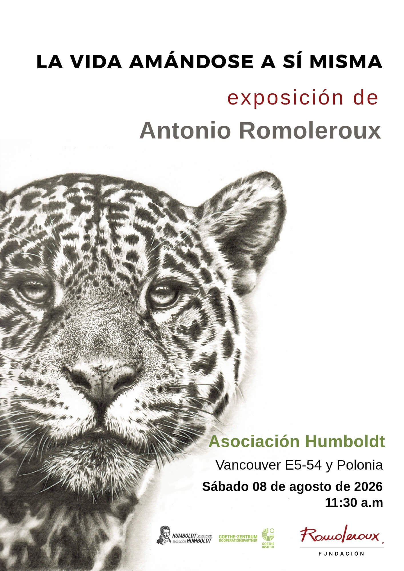 exposición la vida amándose a sí misma